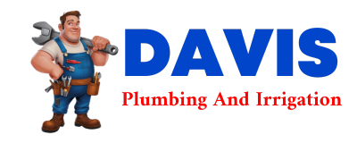 Trusted plumber in BUSY